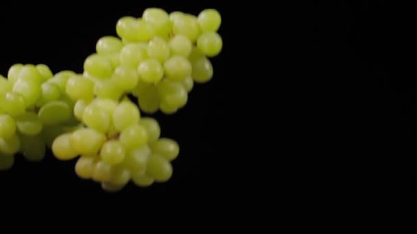 Zbliżenie na świeże winogrona latać i przędzenia na czarnym tle w zwolnionym tempie shot — Wideo stockowe