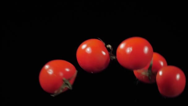 Fem sammenkoblede, modne tomater flyr opp og roterer med vannsprut på svart bakgrunn i sakte film. – stockvideo