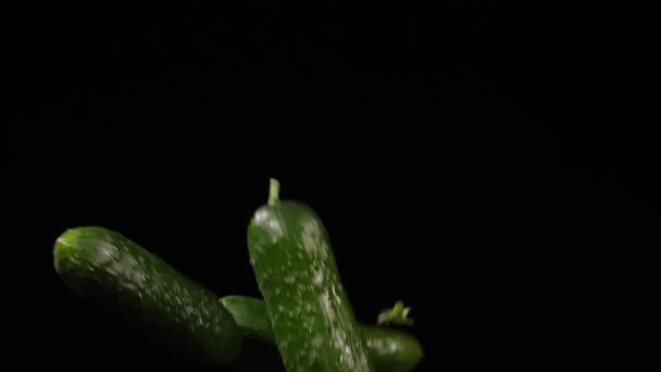 Nedves friss három uborka repül fel, és forog a fekete háttér lassított felvételen — Stock videók