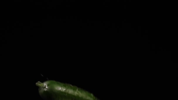 Nasse reife Gurken fliegen auf und drehen sich mit Wasserspritzern auf schwarzem Hintergrund in Zeitlupe, Wassertropfen auf Gemüse — Stockvideo