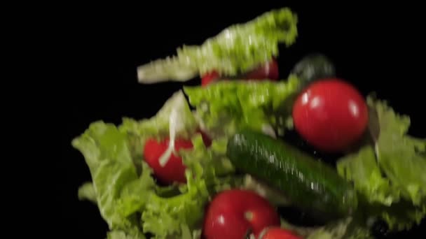 Aus nächster Nähe auf den frischen Tomaten, Gurken und Salat hin- und hergeworfen und mit Wasserspritzern auf schwarzem Hintergrund in Zeitlupe gedreht, Wassertropfen auf Gemüse — Stockvideo