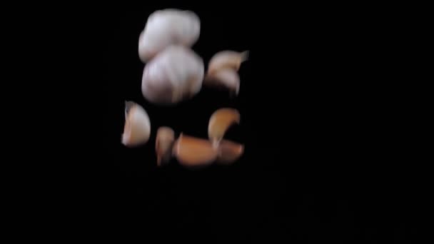 Ajo y dientes de ajo lanzados al aire y girando sobre un fondo negro en cámara lenta — Vídeos de Stock