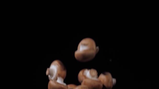 Nasse frische Champignons in die Höhe geworfen und mit Wasserspritzern auf schwarzem Hintergrund in Zeitlupe gedreht, Wassertropfen auf Pilze — Stockvideo