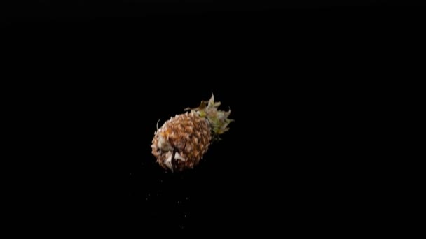 젖은 즙 이 많은 파인애플 을 자세히 들여다보고는 천천히 움직 이는 검은 배경 위에서 물장구를 치며, 과일에 물을 떨어뜨린다 — 비디오