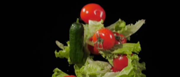 Färska välsmakande tomater, gurkor och sallad kastas upp och flyga runt på en svart bakgrund i slow motion skott, vattendroppar på grönsaker — Stockvideo