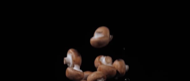 Wet fresh champignons tossed up and fly around with water drops on a black background in slow motion shot — Stock Video