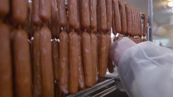 Pracownik zakładu przetwórstwa mięsnego bada gotowe kiełbasy przed zapakowaniem — Wideo stockowe