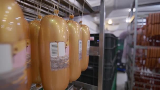 Κοντινό πλάνο στα έτοιμα προϊόντα του εργοστασίου κρέατος - λουκάνικα έτοιμα για περαιτέρω συσκευασία — Αρχείο Βίντεο