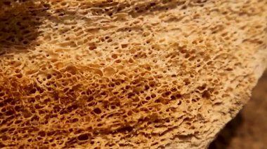 Kemik iliği yakından bakınca kan hücresi oluşumundan sorumlu süngerimsi trabeküler yapıyı gösteriyor. Anatomi ve kemik dokusu fonksiyonlarını vurgulayan tıbbi, veterinerlik ve biyolojik araştırmalar için ideal