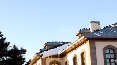 Karga sürüsü (kale) kışın karla kaplı bir çatıda toplanır. Bu davranış sosyal bağları, sıcaklığın korunmasını ve vahşi hayata adaptasyonu gösteriyor. Doğa ve mevsimsel hayatta kalma için ideal. Kuşlar