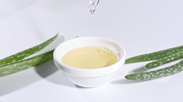 Motion of Aloe Vera sliced slices.Cosmetic pipette with drops of oil Aloe Vera closeup. Natural medical plant. Organic cosmetics, alternative medicine. — Stock Video