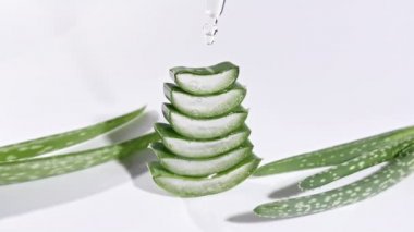 Aloe Vera 'nın dilimlenmiş hamlesi. Kozmetik pipetle Aloe Vera' nın yakın çekimi. Doğal tıbbi bitki. Organik kozmetik, alternatif tıp. 