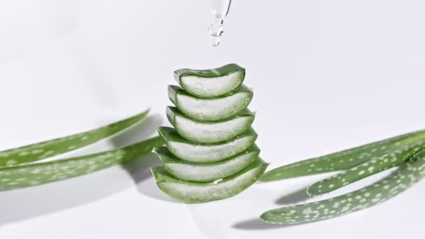 Rörelse av Aloe Vera skivade skivor.Kosmetisk pipett med droppar olja Aloe Vera närbild. Naturlig medicinsk växt. Ekologisk kosmetika, alternativ medicin. — Stockvideo