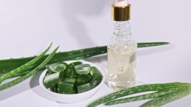 Aloe Vera yağlı cam şişe. Yakından Aloe Vera dilimlenmiş. Doğal tıbbi bitki. Organik kozmetik, alternatif tıp. 