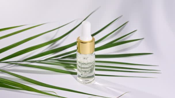 Botella de vidrio gotero con cosmética natural, aceite esencial. Movimiento de hojas de palma tropical con sombras sobre fondo blanco. — Vídeos de Stock