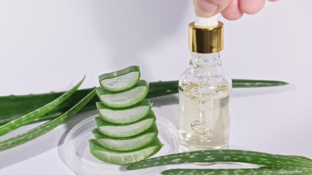Botol kaca dengan minyak Aloe Vera. Closeup Aloe Vera mengiris irisan. Tanaman medis alami. Kosmetik organik, pengobatan alternatif. — Stok Video