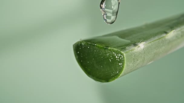 Yeşil bulanık arkaplanda yapraktan bir damla aloe vera sıvısı düşürme hareketi. Cilt bakımı ve saç bakımı için bitkisel ilaç. — Stok video