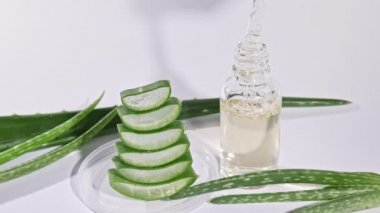 Aloe Vera yağlı cam şişe. Yakından Aloe Vera dilimlenmiş. Doğal tıbbi bitki. Organik kozmetik, alternatif tıp. 