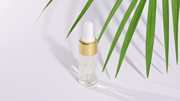 Sticlă de sticlă picurată cu ulei cosmetic natural, esențial. Mișcarea frunzelor tropicale de palmier cu umbre pe fundal alb . — Videoclip de stoc
