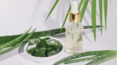 Aloe Vera yağlı cam şişe. Yakından Aloe Vera dilimlenmiş. Doğal tıbbi bitki. Organik kozmetik, alternatif tıp. 