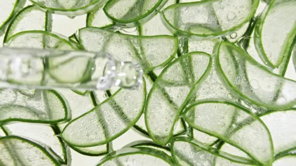 Pipeta kosmetyczna z zielonym serum Aloe vera, tekstura żelu, środek do dezynfekcji rąk. Naturalna roślina medyczna. Kosmetyki ekologiczne, medycyna alternatywna. — Wideo stockowe