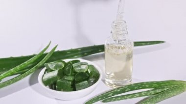 Aloe Vera yağlı cam şişe. Yakından Aloe Vera dilimlenmiş. Doğal tıbbi bitki. Organik kozmetik, alternatif tıp. 