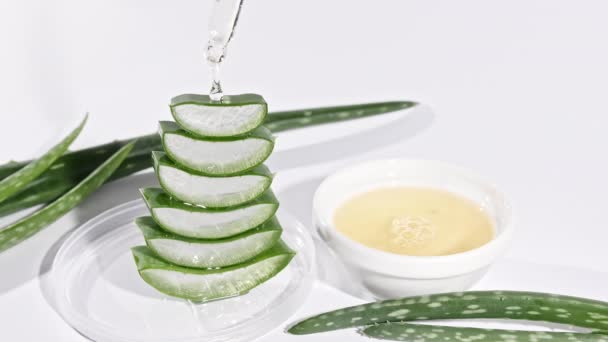 Movimiento de las rodajas de Aloe Vera Pipeta cosmética con gotas de aceite Primer plano de Aloe Vera. Planta medicinal natural. Cosmética ecológica, medicina alternativa. — Vídeos de Stock