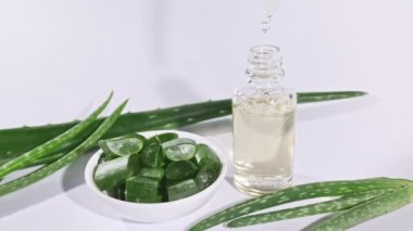 Aloe Vera yağlı cam şişe. Yakından Aloe Vera dilimlenmiş. Doğal tıbbi bitki. Organik kozmetik, alternatif tıp. 