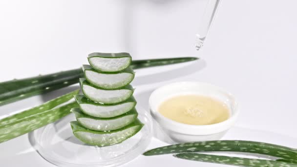 Bewegung von Aloe Vera Scheiben geschnitten.Kosmetische Pipette mit Tropfen Öl Aloe Vera Nahaufnahme. Naturheilpflanze. Biologische Kosmetik, alternative Medizin. — Stockvideo