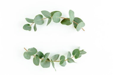 Okaliptüsten yapılmış çelenk çerçevesi ve beyaz arka planda izole edilmiş yapraklar. Düz uzan, üst görünüm