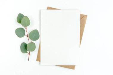 Sahte davetiye, boş tebrik kartı ve yeşil yapraklar okaliptüs. Düz yatış, üst görünüm.