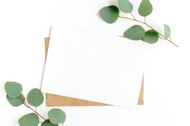 Sahte davetiye, boş tebrik kartı ve yeşil yapraklar okaliptüs. Düz yatış, üst görünüm.