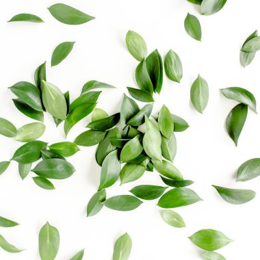 Beyaz arka planda yeşil yapraklı desen, doku. Düz uzan, üst görünüm