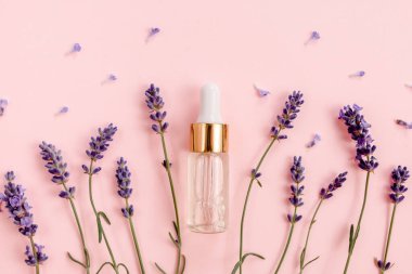 Pembe arka planda çiçekli lavanta yağı. Düz yerde, üst tarafta. Asgari konsept.