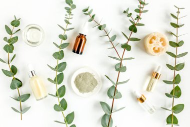 Okaliptüs yağı, okaliptüs yaprakları beyaz arka planda. Doğal, organik kozmetik ürünleri. Tıbbi, Doğal Serumlar. Düz yatış, üst görünüm.