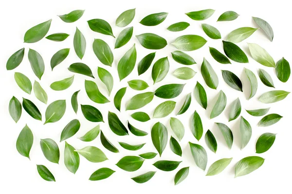 Pattern, texture with green leaves isolated on white background. lay flat, top view — Stock Photo, Image