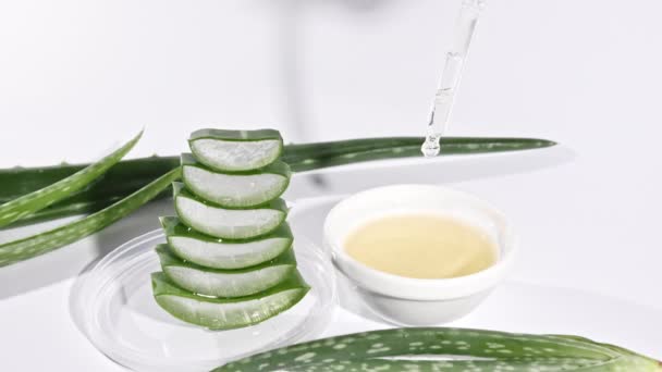 Bewegung von Aloe Vera Scheiben geschnitten.Kosmetische Pipette mit Tropfen Öl Aloe Vera Nahaufnahme. Naturheilpflanze. Biologische Kosmetik, alternative Medizin. — Stockvideo