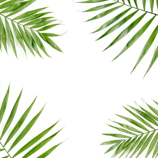白い背景に熱帯緑のヤシの葉。フラット・レイトップ・ビュー — ストック写真