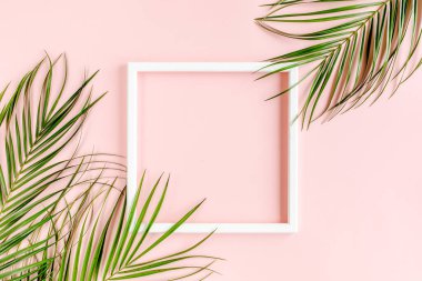 Beyaz çerçeve ve tropikal palmiye pembe arka planda Phoenix 'ten ayrılıyor. Düz yatış, üst görünüm