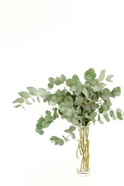 Masanın üzerinde cam bir kavanozda yeşil okaliptüsler..