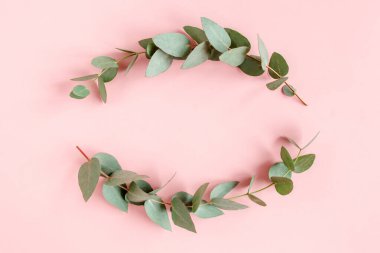 Pembe arka planda okaliptüs yapraklarından yapılmış çerçeve kenarları. Düz yerde, üst tarafta. Çiçek konsepti