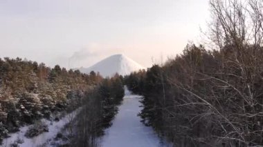 Kış Ormanı Karları Ağaçları Kaplamıştı Alp Dağları Sabah Erken Güneş Doğumu Tatil ve Turizm Ağacı Canlı Renkler Hava 4k Tepesi