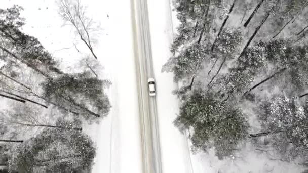 Klasické šedé auto projíždějící bílým zimním zasněženým lesem na venkovské silnici. Horní pohled. Zimní nebo alpská silnice v horách se zasněženými stromy z leteckého pohledu. — Stock video