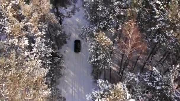 Klasické šedé auto projíždějící bílým zimním zasněženým lesem na venkovské silnici. Horní pohled. Zimní nebo alpská silnice v horách se zasněženými stromy z leteckého pohledu. — Stock video
