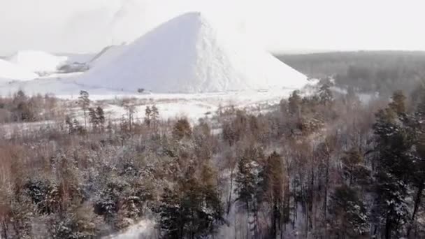 Zimní les Příroda Snow Pokryté Zimní Stromy Alpská krajina Časné ráno východ slunce Dovolená Cestování a cestovní ruch Mrazivé koruny stromů Živé barvy Letecký 4k — Stock video