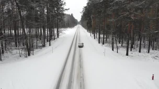 森の中の冬の道路上の車、トップビュー — ストック動画