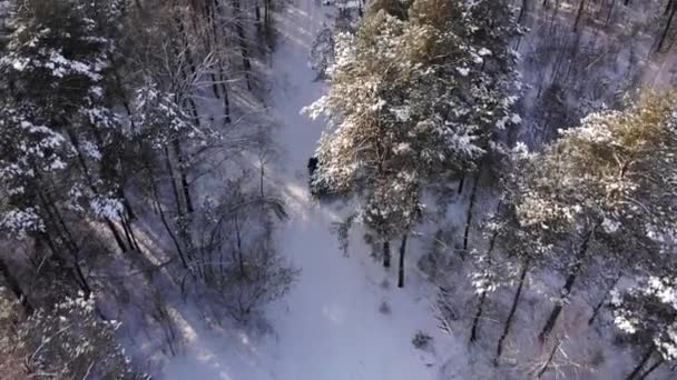 Coche gris clásico que conduce a través del bosque nevado de invierno blanco en la carretera del campo. Vista superior. Camino de invierno o alpino en las montañas con árboles cubiertos de nieve desde la vista aérea. — Vídeos de Stock