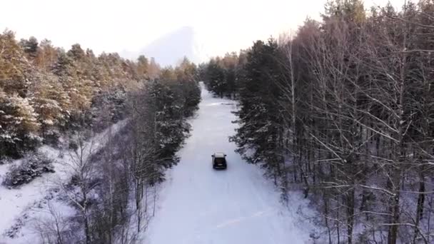 Voiture grise classique conduisant à travers la forêt enneigée blanche d'hiver sur la route de campagne. Vue de dessus. Route hivernale ou alpine en montagne avec arbres enneigés depuis la vue aérienne. — Video