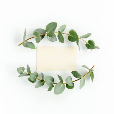 Sahte davetiye, boş tebrik kartı ve yeşil yapraklar okaliptüs. Düz yatış, üst görünüm.
