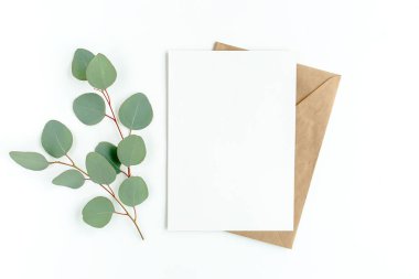 Sahte davetiye, boş tebrik kartı ve yeşil yapraklar okaliptüs. Düz yatış, üst görünüm.